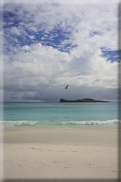 foto Isole Galapagos